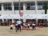 IMG_1534