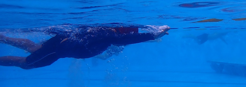 s-P7120067