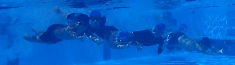 s-P8010031