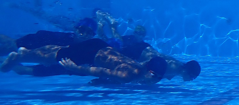 s-P8010039