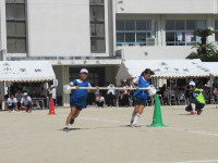IMG_0522